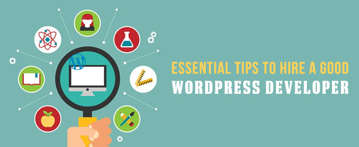 hire-wordpress-developer-tips-1
