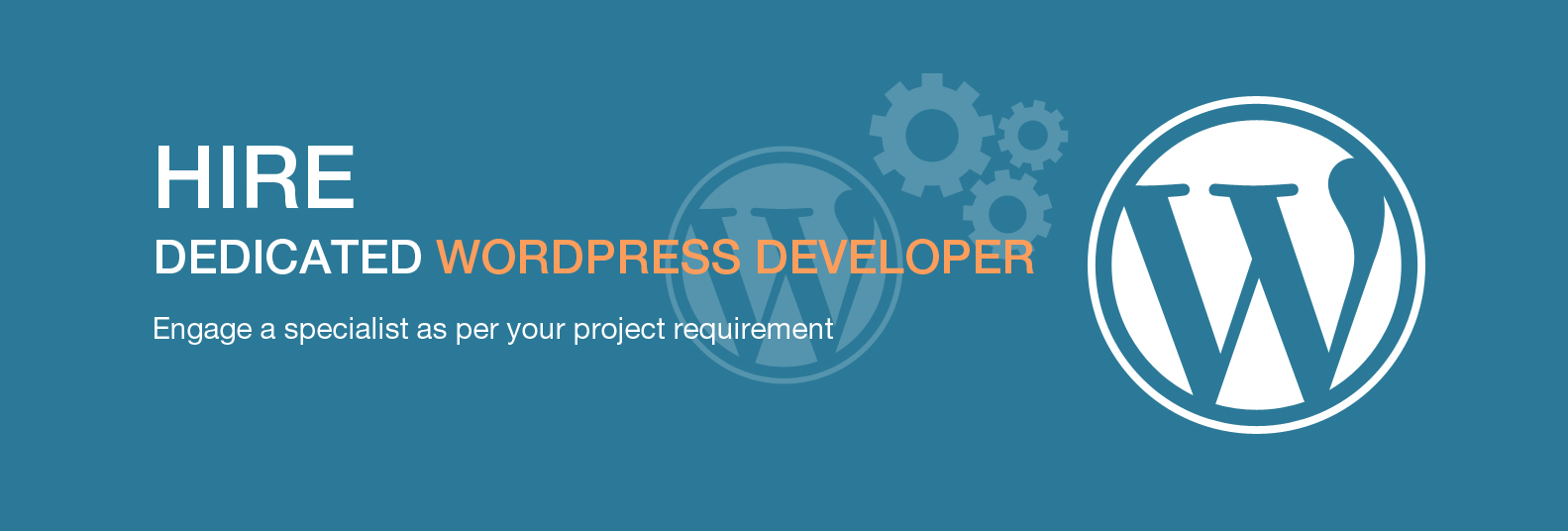 hire-wordpress-developer-tips-4