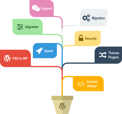 Tips to Choose Precious WordPress Development Company In India
